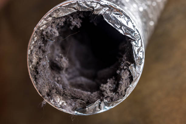 Best Commercial Air Duct Cleaning  in South Elgin, IL