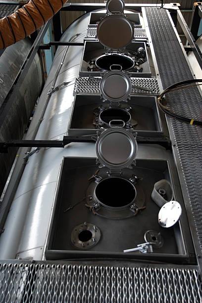 Best Air Duct Mold Removal  in South Elgin, IL
